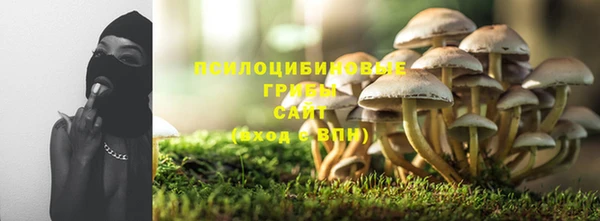 соль курить ск Козловка