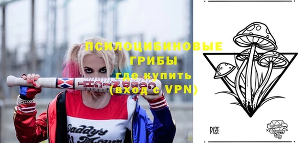 a pvp Костерёво