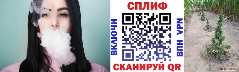 Купить закладки  Холмск  Бошки Шишки Amnesia 